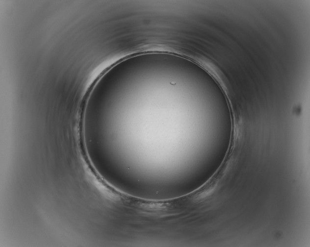 X0000113261149200909171644