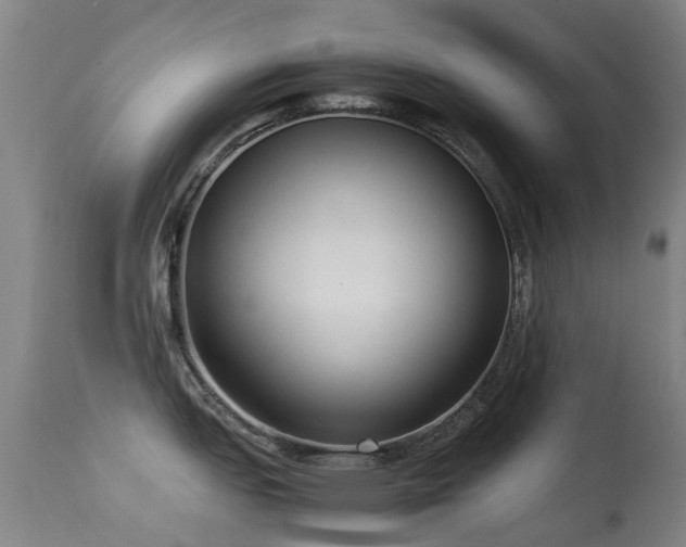 X0000113261151200909171644