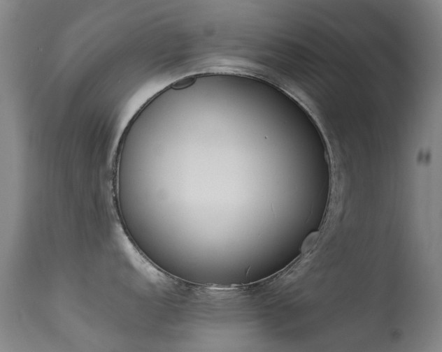 X0000113261152200909171644