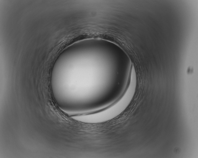 X0000113261153200909171643