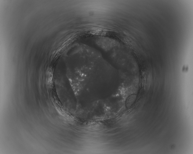 X0000113261154200909171643