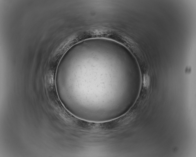 X0000113261155200909171643