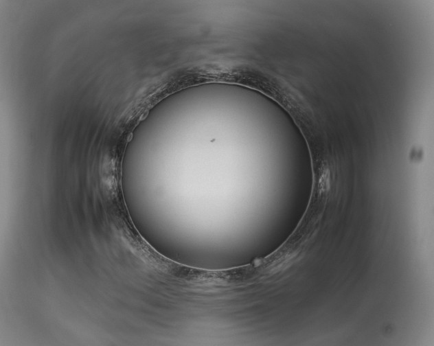 X0000113261156200909171643