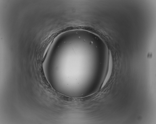 X0000113261157200909171643