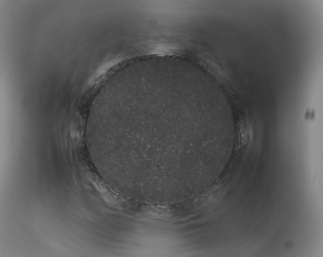 X0000113261158200909171643