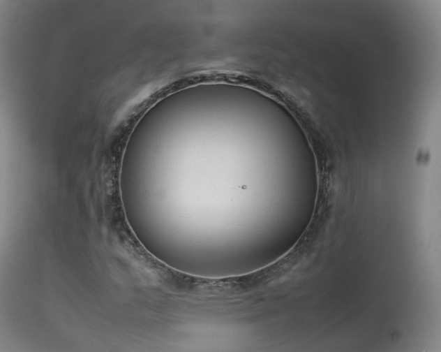 X0000113261159200909171643