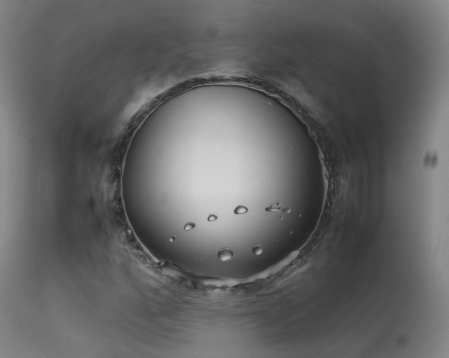 X0000113261160200909171643