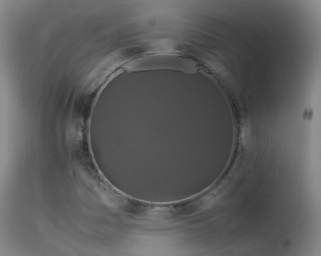 X0000113261161200909171643