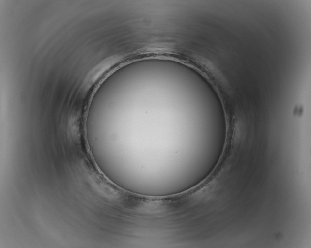 X0000113261162200909171643