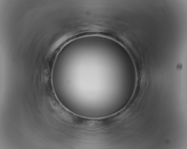 X0000113261163200909171643