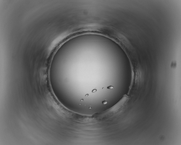 X0000113261164200909171643