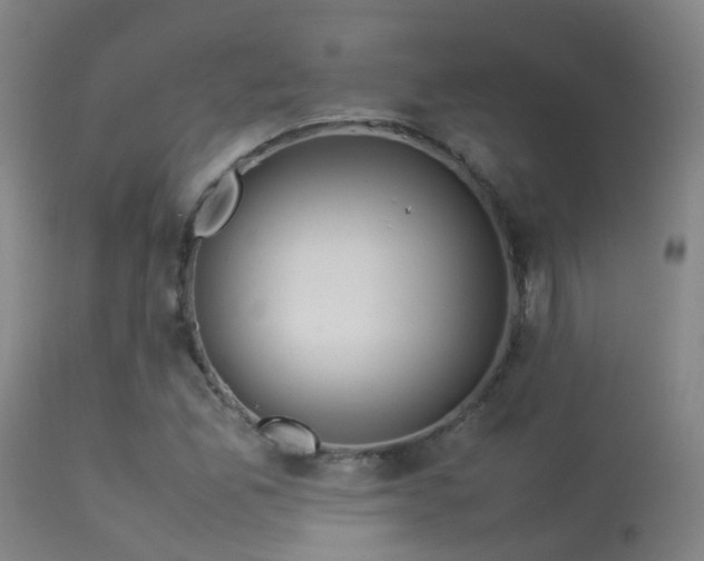 X0000113261165200909171643