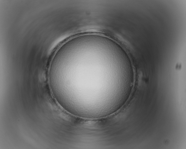 X0000113261166200909171643