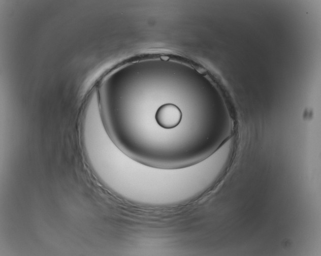 X0000113261167200909171643