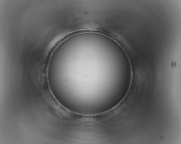 X0000113261168200909171643