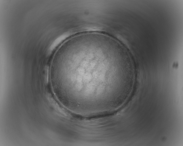 X0000113261171200909171642