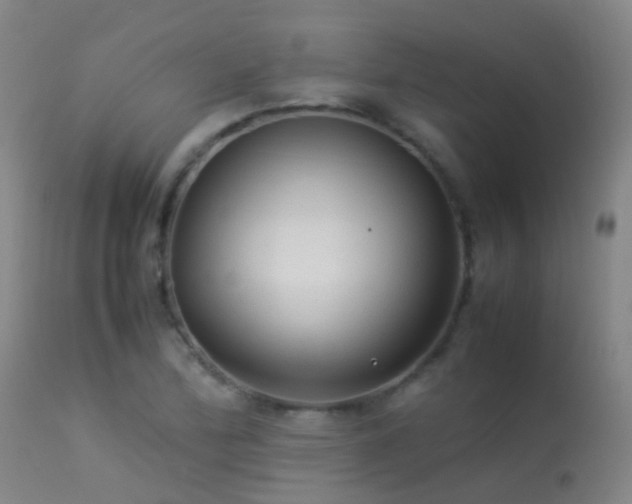 X0000113261172200909171642