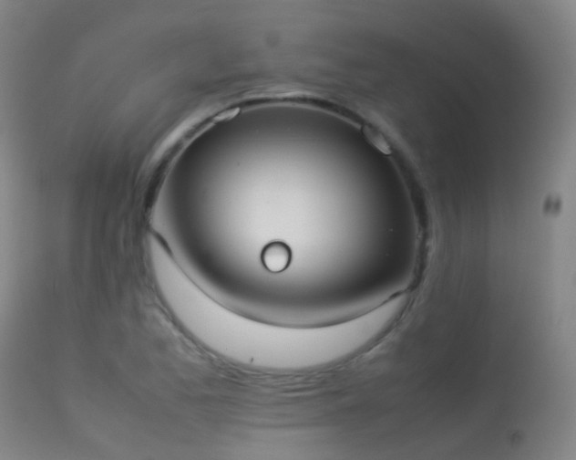 X0000113261173200909171642