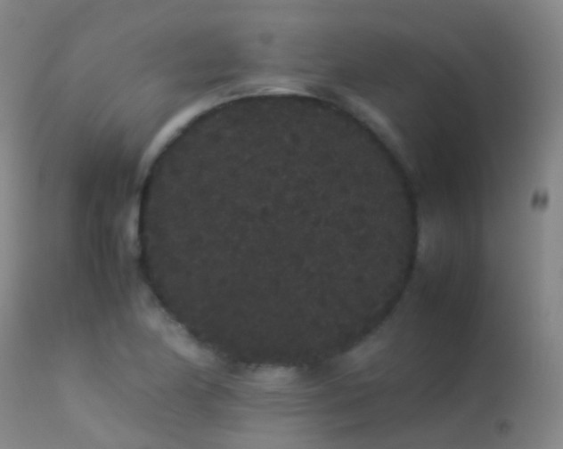 X0000113261174200909171642