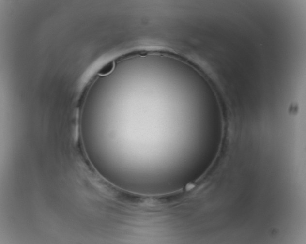 X0000113261175200909171642