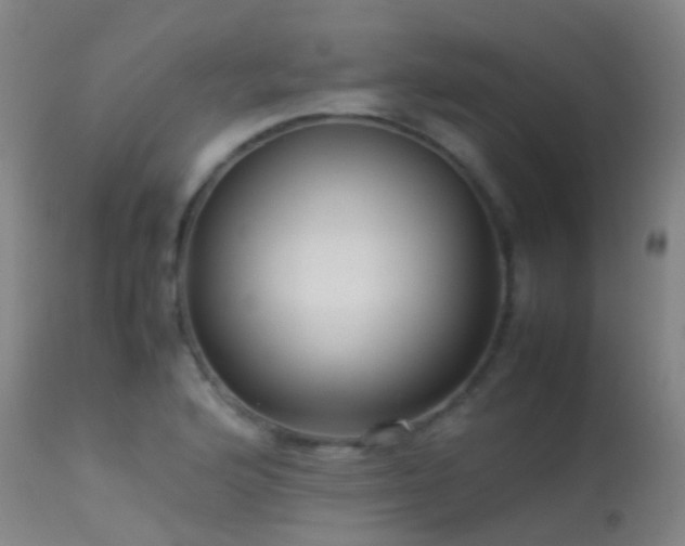 X0000113261176200909171642