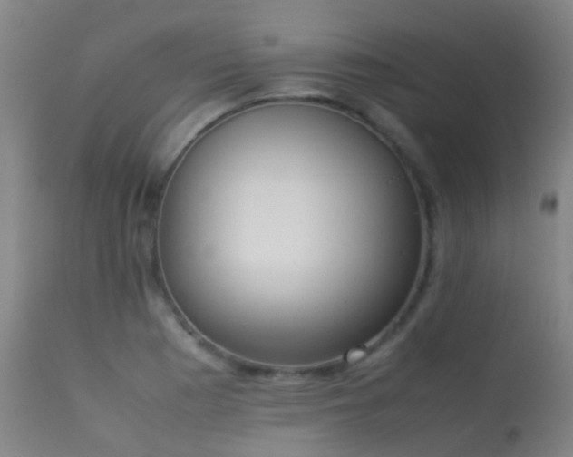 X0000113261177200909171642