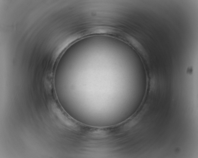 X0000113261178200909171642