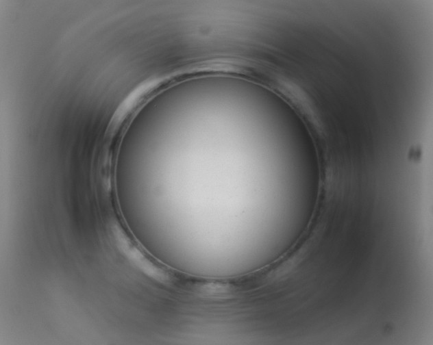 X0000113261180200909171642