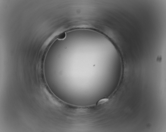 X0000113261181200909171642