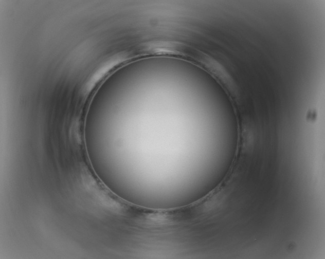 X0000113261182200909171642