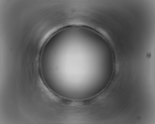 X0000113261183200909171642