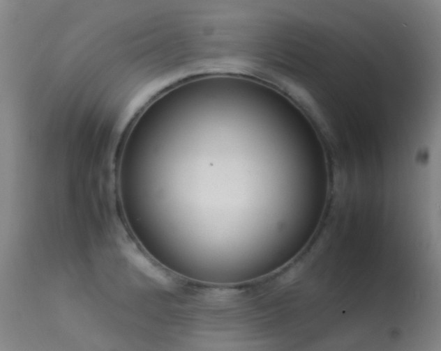 X0000113261184200909171642