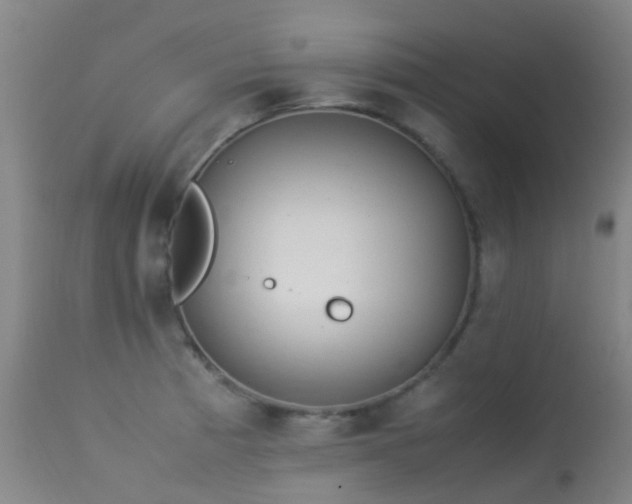 X0000113261185200909171642