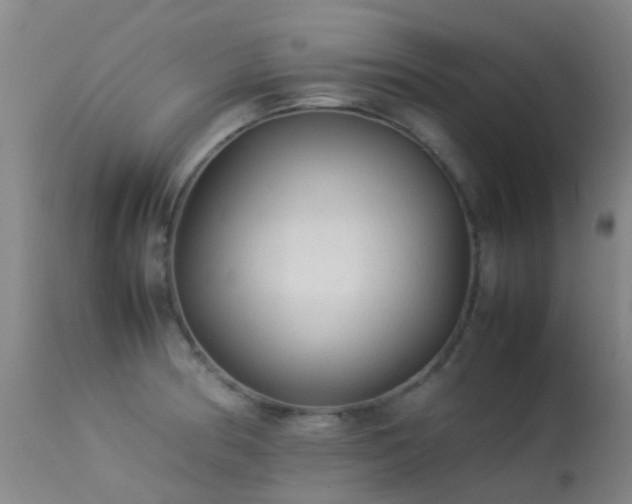 X0000113261186200909171642