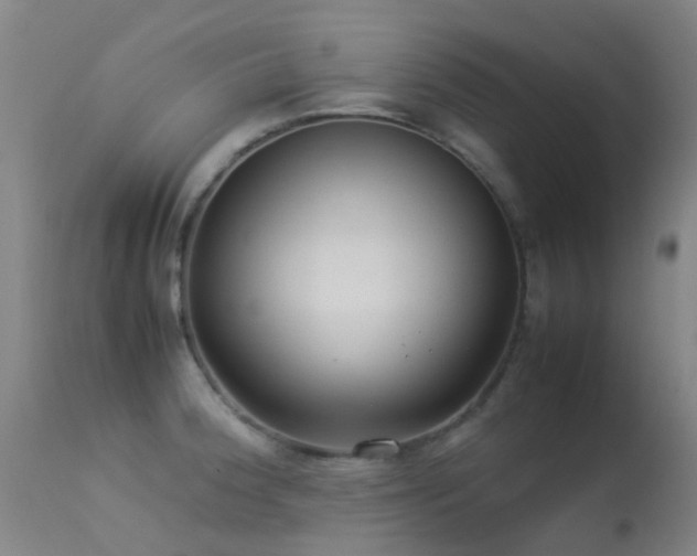 X0000113261188200909171642