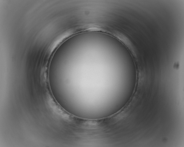 X0000113261190200909171642