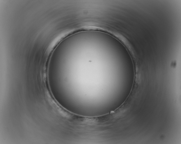 X0000113261191200909171642