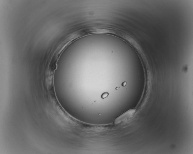 X0000113261193200909171642