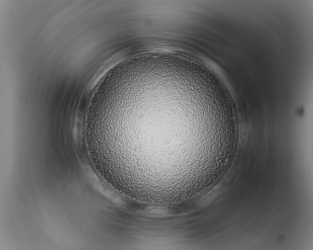 X0000113261194200909171642