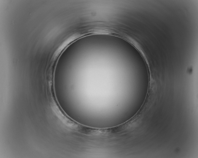 X0000113261195200909171642