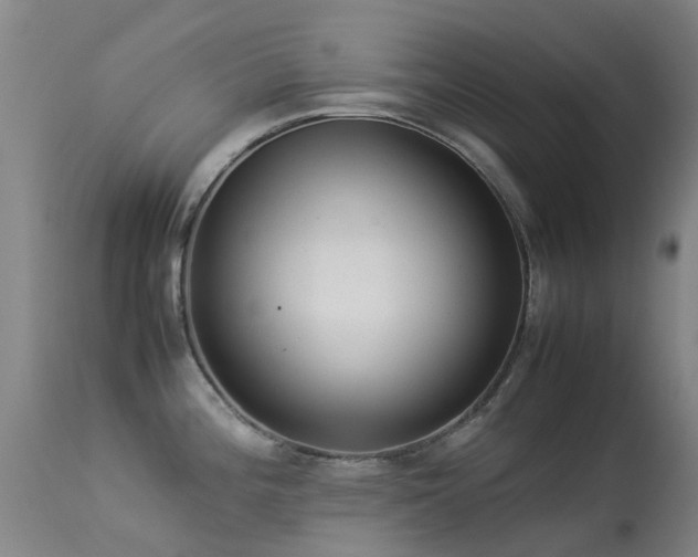 X0000113261196200909171642