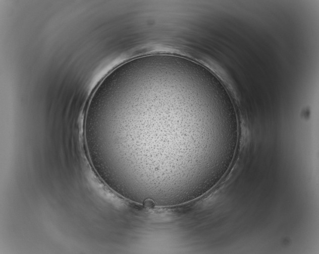 X0000113261198200909171642