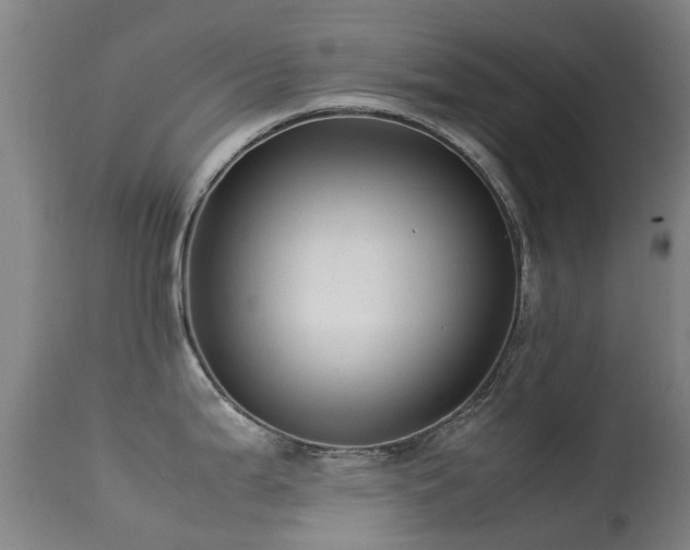 X0000113261199200909171642