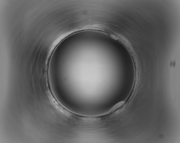 X0000113261200200909171642