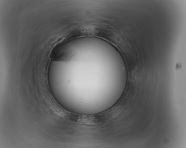 X0000113261201200909171641