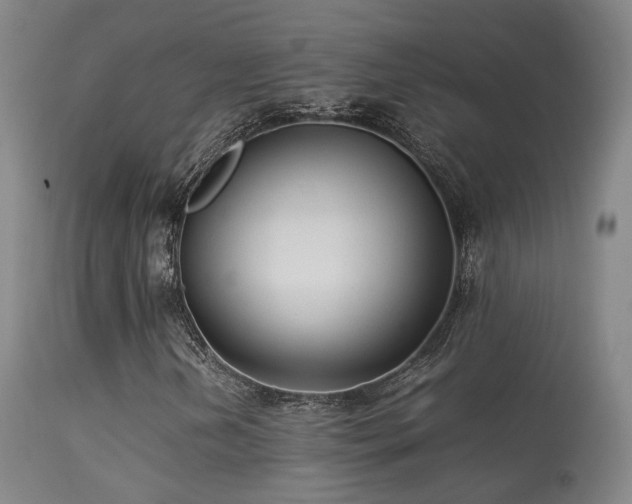 X0000113261202200909171641