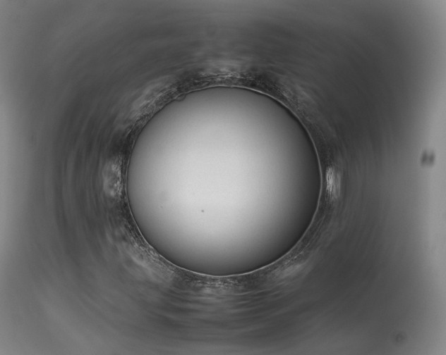 X0000113261203200909171641