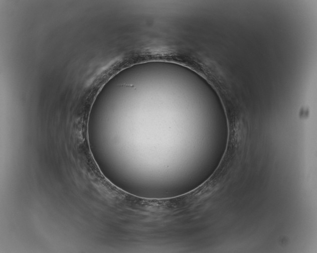 X0000113261205200909171641