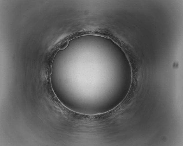 X0000113261206200909171641