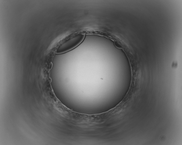 X0000113261207200909171642